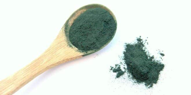 Spiruline : tout sur ce complément alimentaire bon pour la santé