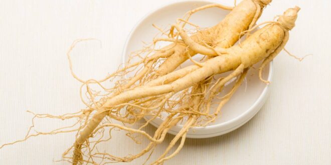 Les bienfaits du ginseng pour le corps