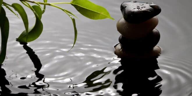 Pie dans le Feng Shui : signification et utilisations de ce symbole