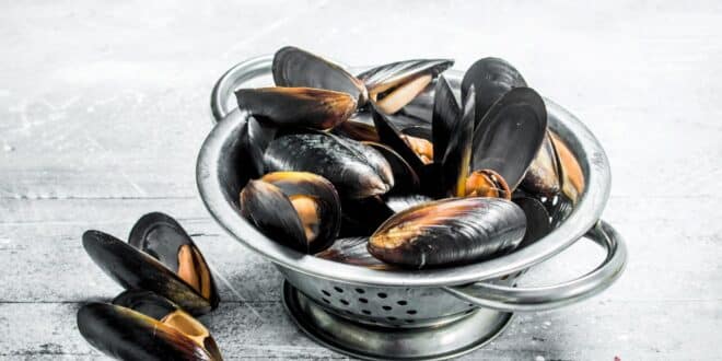 Est-il possible de manger des moules lorsque l’on est enceinte?