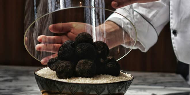 Plongez dans l’univers de la truffe noire : une expérience culinaire inoubliable
